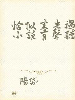 恰似寒光遇骄阳小说有声听书免费