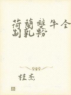 荷兰双牛全脂调制乳粉