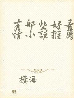 有哪些好看的言情小说推荐