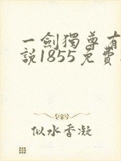 一剑独尊有声小说1855免费听