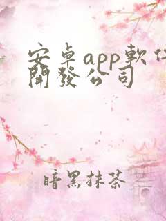 安卓app软件开发公司