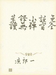 叶锋小说免费阅读无弹窗全文