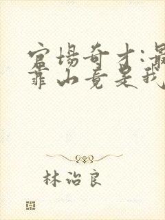 官场奇才:最强靠山竟是我自己李澜小说阅