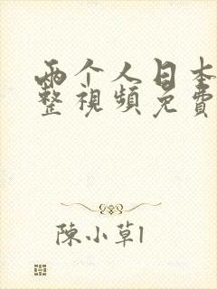 两个人日本的完整视频免费