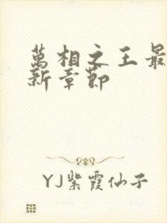 万相之王最快更新章节