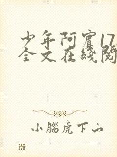 少年阿宾172全文在线阅读