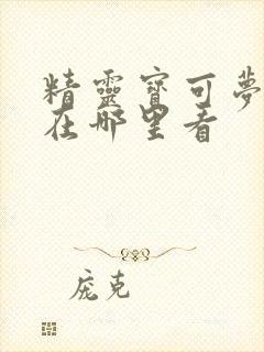 精灵宝可梦旅途在哪里看