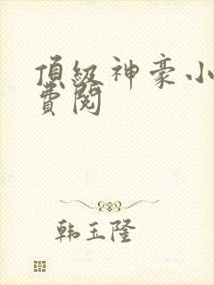 顶级神豪小说免费阅