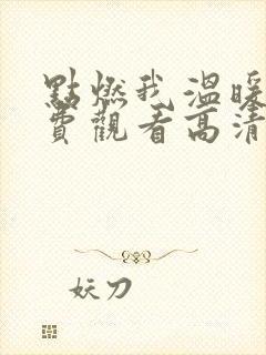 点燃我温暖你免费观看高清