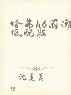 哈弗h6国潮版低配版