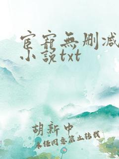 宦宠无删减原著小说txt