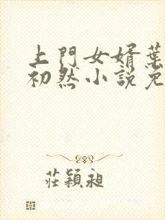 上门女婿叶辰萧初然小说免费