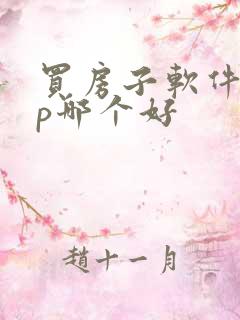 买房子软件app哪个好