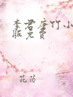 李君唐竹小说正版免费