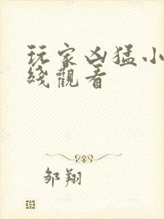 玩家凶猛小说在线观看