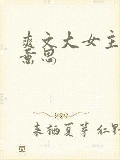 爽文大女主什么意思