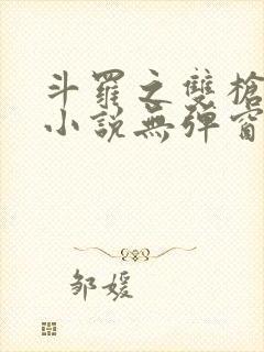 斗罗之双枪绝世小说无弹窗