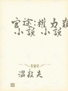 官途:权力巅峰 小说 小说