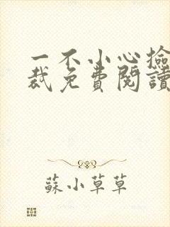 一不小心捡了总裁免费阅读