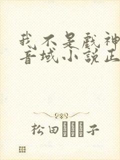 我不是戏神三九音域小说正版全文下载