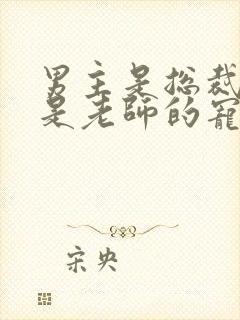 男主是总裁女主是老师的宠文