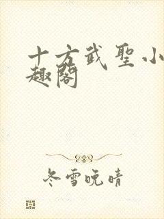 十方武圣小说笔趣阁