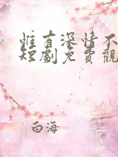 惟有深情不可负短剧免费观看