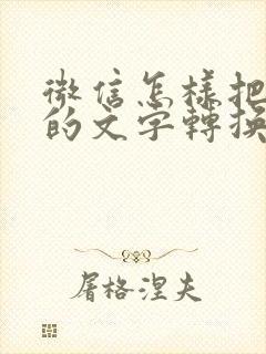 微信怎样把纸质的文字转换成电子版