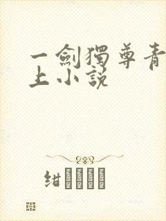 一剑独尊青鸾峰上小说