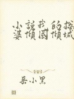 小说我的总裁老婆倾国倾城在线阅读