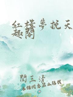 红楼梦挽天倾笔趣阁