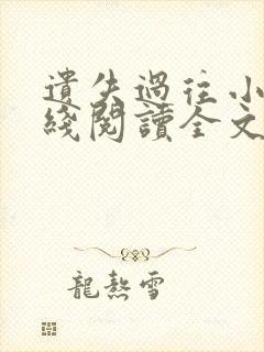 遗失过往小说在线阅读全文无弹窗