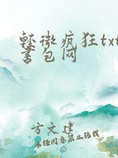 轻微疯狂txt书包网