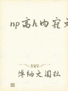 np高h肉宠文