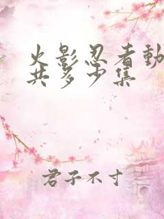 火影忍者动漫一共多少集