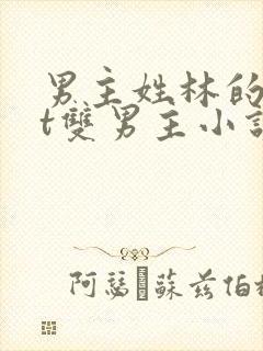 男主姓林的txt双男主小说