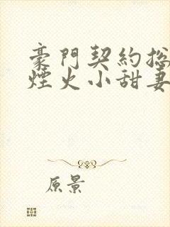 豪门契约总裁的烟火小甜妻