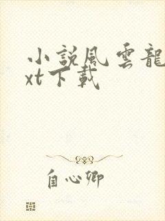 小说风云龙婿txt下载