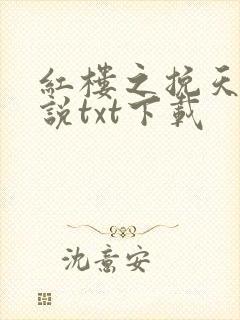 红楼之挽天倾小说txt下载