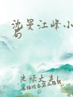 沈曼江峰小说结局