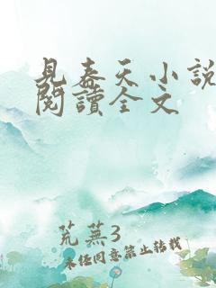 见春天小说免费阅读全文