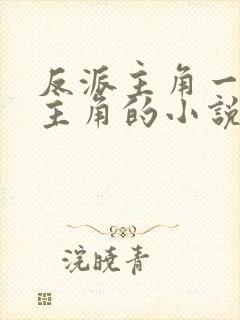 反派主角一直绿主角的小说