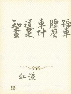 知道车牌号怎么查是什么车