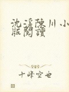 沈溪陈川小说正版阅读