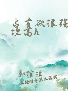 占有欲很强糙汉攻高h