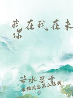 我在我在未来等你