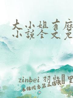 大小姐有麻烦了小说全文免费阅读边澈