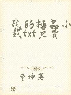 我的极品小姨下载txt免费