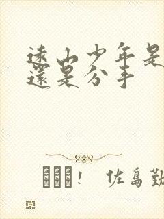 远山少年是表白还是分手