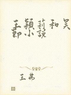 王颖莉和吴刚章节小说